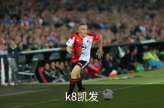 k8凯发介绍